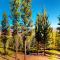 View Condo at Northstar