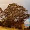 The Cloud House Hampton - Rustic Alpine Retreat - Lowther