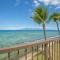 Hale Ono Loa 316- Upgraded Hale Ono Loa condo, expansive ocean views - Kahana