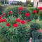 Chambres dhotes le nid fleuri de Cravanche