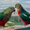 Great Ocean Road Wellness and Nature Stay