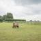 Grove Farm Bungalow and Annexe, Dallinghoo Grove Farm Bungalow and Annexe, Dallinghoo