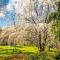 Amaroo Guesthouse