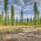 Secluded Cabin w/ Mtn Views ~ 33 Mi to Bigfork!