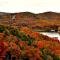 Cozy Lakeside Getaway - Outdoor Theater - Free Early Check-In- 4min to Silver Dollar City