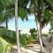 Bohemian Beach House Near Lamai - Amphoe Koksamui