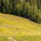 Blackcomb Springs Suites by CLIQUE