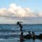 Itʻs All About the Beach