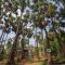 KATHIR Guest House