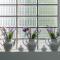 Hotel Smart Cervia B&B