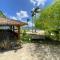 Flamboyant Oasis