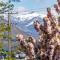 Elevated Mountain Views - Wanaka