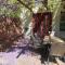 Aloe Guest Rooms - Bloemfontein