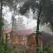 Coorg Jungle Mist