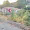 Evie's House Arakapas