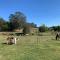 Little Farmhouse Near The Dairy - Warranulla