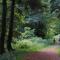 River Edge Lodges