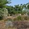 Sa Riba, Country house in Mallorca