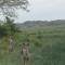 Umlilo Lodge