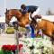 Thoroughbred Capital of the World, HITS and WEC - أوكالا