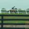 Thoroughbred Capital of the World, HITS and WEC - أوكالا