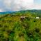 Mountain View Hostel