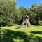 Lazy Bear A-frame Holiday Home - Devon - Chudleigh