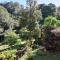 Curuba Lodge