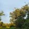 Lembah Saerah Resort - 加央