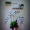 HOMESTAY Duranta Homes