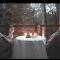 Woodlands rainforest retreat