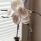 Apartment Tunnelstrasse-2 by Interhome