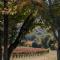 Tranquil Istria Estate - Palazio Clai Winery - 8 Bedrooms - Spa & Heated Pool - Groznjan - Grožnjan