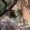 Desert Trails Bed & Breakfast