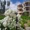 Zaltak Guest House and Hostel - Leh