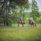 Hubertus Aparthotel & Restaurant & Horse Club