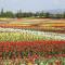 Kuwana Park Hotel - Vacation STAY 66850v