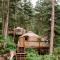 Shearwater Cove