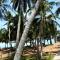 Beach Bungalow