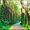 SP cottage&home stay