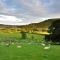 Sheep Cote Shepherds Hut