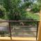 Bardia Jungle Cottage