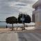 Sunny Winter Arinaga