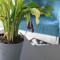 Digital Nomads Nest, Somerset West