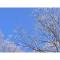 Hotel Silk in Madarao - Vacation STAY 79648v