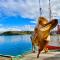 Charming Rorbu Stamsund Lofoten