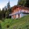 Authentic Swiss Spa Chalet Nesoya Jacuzzi Sauna