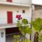 La Volpe Rossa Rooms and Apartments