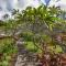 Napili Shores I270