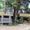 Luxury Treehouse on Bronberg Ridge - Tierpoort